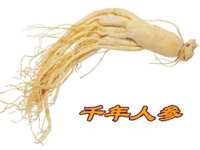 什么人不能吃人參？人參果怎么吃最好