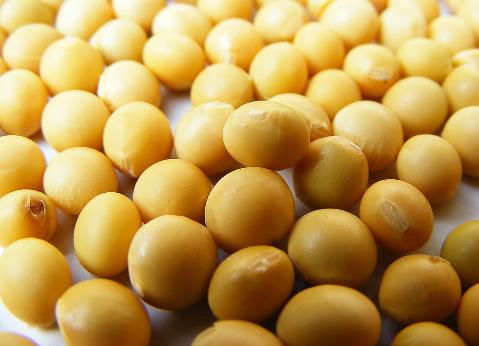 吃黃豆有什么好處？黃豆有什么營養(yǎng)價(jià)值