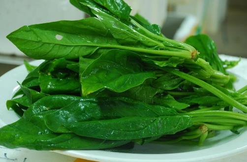 春季吃菠菜的好處-菠菜怎么吃最有營養