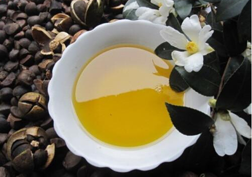 茶油的功效與作用-茶油怎么吃？