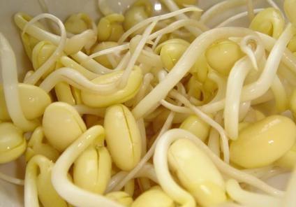 吃黃豆芽好嗎？黃豆芽的營養(yǎng)價(jià)值、功效與作用
