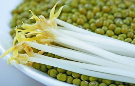 綠豆芽怎么做好吃？綠豆芽的營養價值、功效與作用