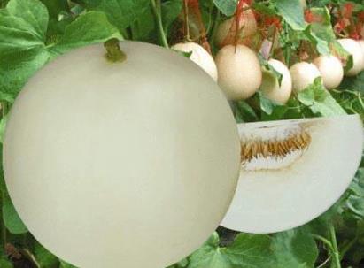 吃香瓜有什么好處？香瓜的功效與作用