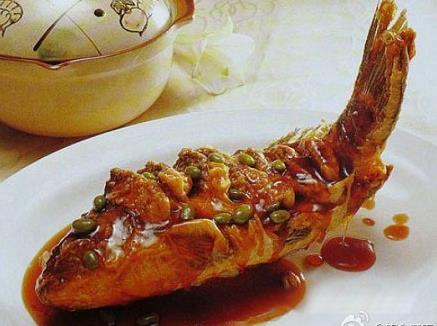 什么魚的營養價值最高？6種最常見魚營養分析