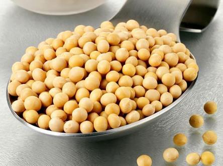 常吃黃豆有什么好處？黃豆的營養價值、功效與作用