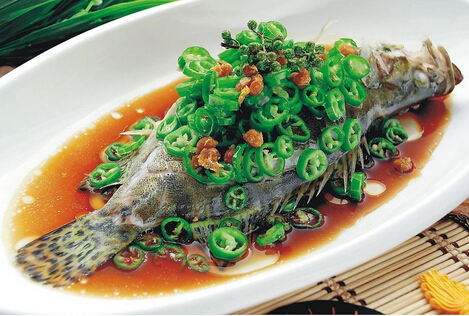 桂魚多少錢一斤？桂魚怎么挑選