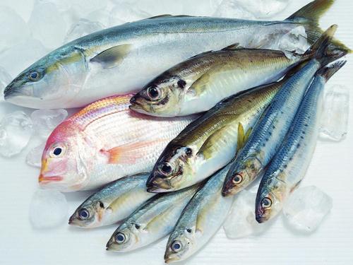 如何區別冰鮮魚與速凍魚？鑒別海鮮干品質量好壞優劣的方法