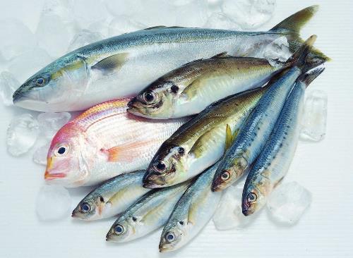 如何鑒別污染魚？鑒別污染魚的方法與技巧