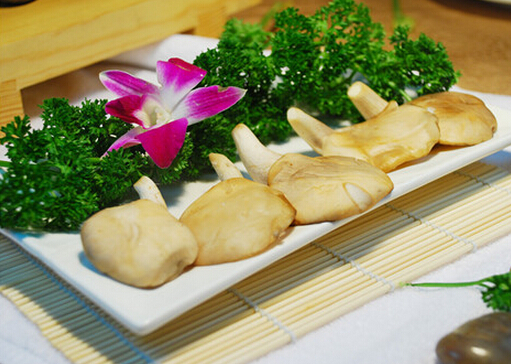 鮑魚菇的做法-鮑魚菇的營(yíng)養(yǎng)價(jià)值