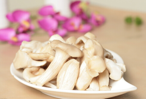 平菇的適宜人群與營養(yǎng)-平菇怎么做好吃？