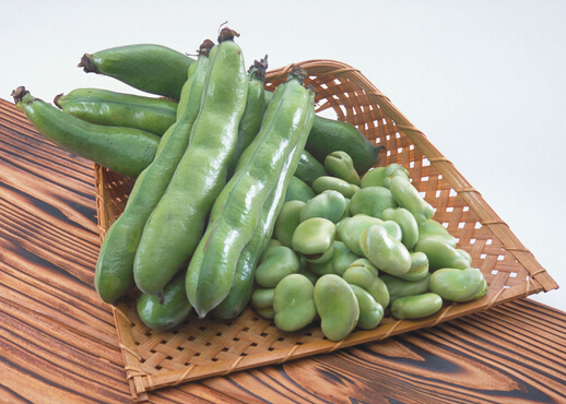 蠶豆的做法-蠶豆的營(yíng)養(yǎng)價(jià)值