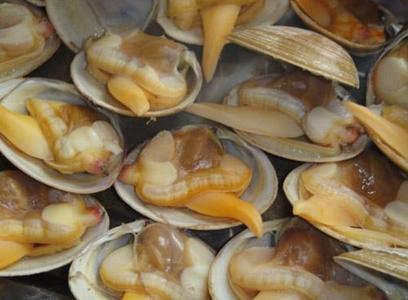 黃蜆子怎么吐沙子？怎么讓蜆子吐沙子？黃蜆子的清洗方法