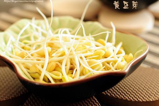 黃豆芽怎么做好吃？黃豆芽的烹飪技巧