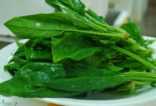 菠菜怎么吃更有營養？菠菜怎么吃更健康