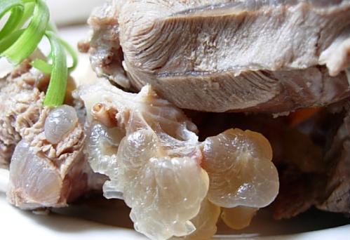 如何燉羊肉？怎么吃羊肉不上火？燉羊肉的做法大全