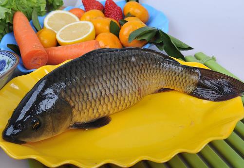 如何烹飪鯉魚？鯉魚怎么做好吃