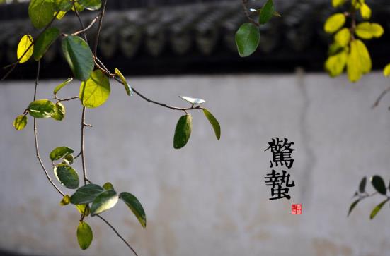 驚蟄是什么時候？二十四節氣之驚蟄的由來與含義