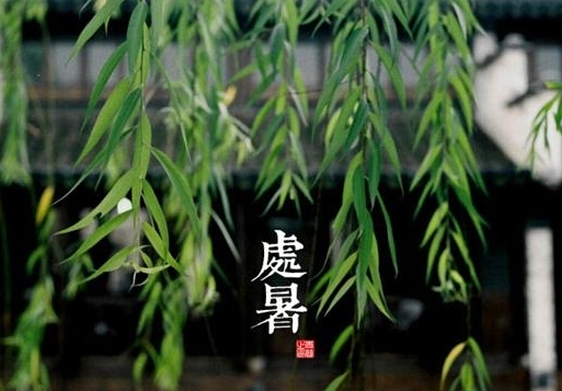處暑是什么意思？處暑養生注意事項