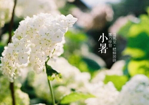 小暑什么意思？小暑怎么預防中暑