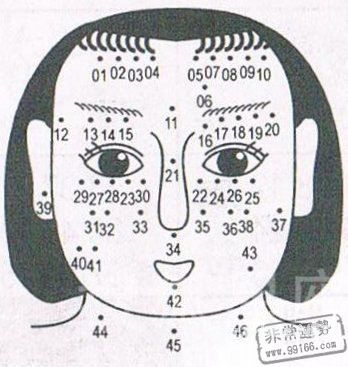 痣相圖解大全，女人痣相圖解，女人面部痣相圖解