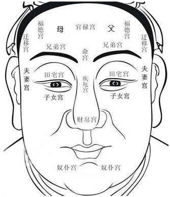 面相學中的面相十二宮的含義