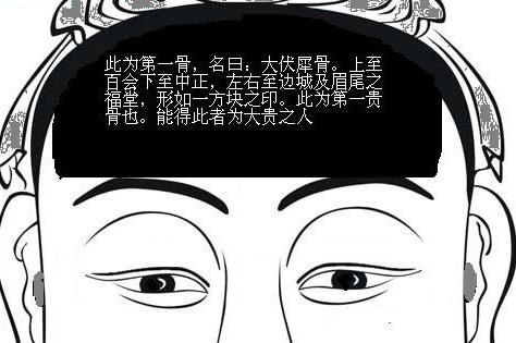 骨相圖解：朝天伏犀骨
