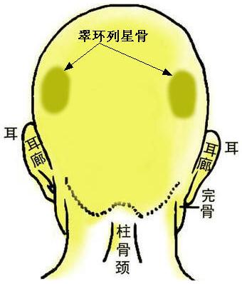 骨相圖解：翠環列星骨