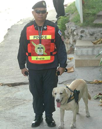 泰國警方為加強攻擊力給警犬配槍，警犬專用手槍肩套(組圖)