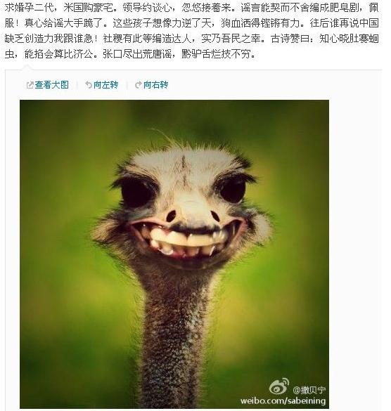 撒貝寧唇槍舌劍斥謠言 網友嘆：果然是北大才子撒貝寧微博截圖