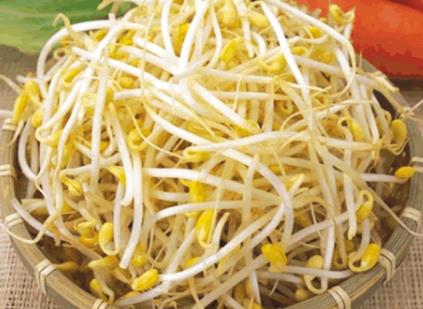 哺乳期吃黃豆芽有什么好處？哺乳期吃黃豆芽的做法