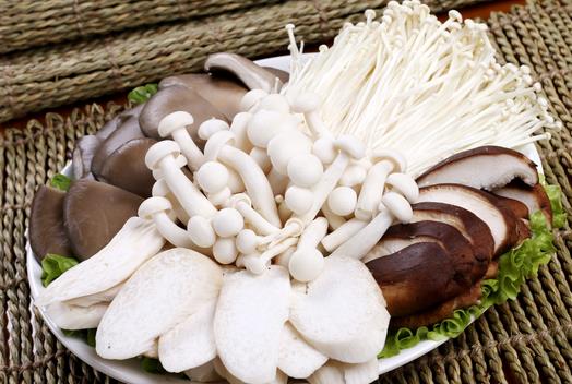 孩子吃食用菌能補腦嗎？孩子吃什么食物補腦