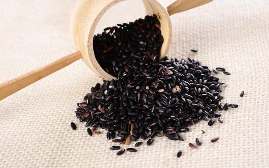 秋季吃什么食物能美容？最養顏的是薏米