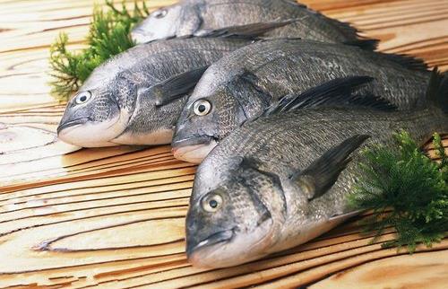 魚的哪些部位比較有營(yíng)養(yǎng)？洗魚有什么技巧？