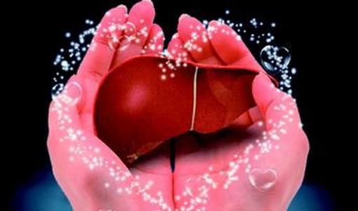 如何有效的養(yǎng)肝護(hù)肝？中醫(yī)傳授6大護(hù)肝秘訣