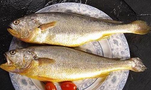 黃花魚(yú)有什么營(yíng)養(yǎng)價(jià)值？孕婦能吃黃花魚(yú)嗎？
