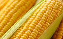 吃什么健脾養(yǎng)胃？4大保護(hù)脾胃健康的黃色食物