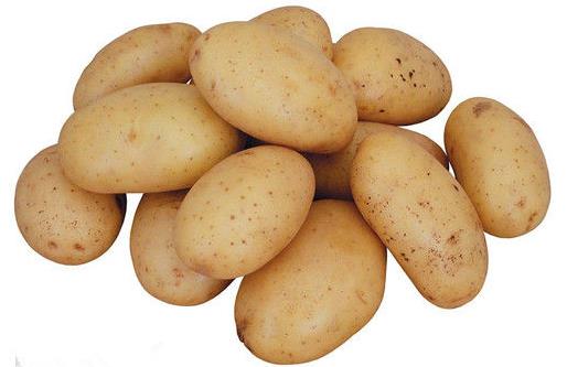 土豆?fàn)I養(yǎng)價值高 土豆的做菜的竅門
