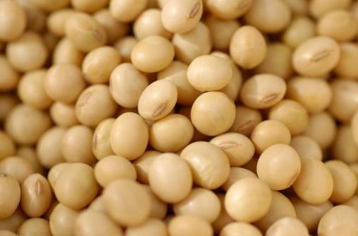 吃什么對(duì)乳房好？保護(hù)乳房的食物推薦