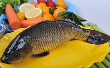 鯉魚_鯉魚的營(yíng)養(yǎng)價(jià)值,功效與作用,鯉魚怎么做好吃,鯉魚的做法大全 鯉魚_鯉魚的營(yíng)養(yǎng)價(jià)值,功效與作用,鯉魚怎么做好吃,鯉魚的做法大全