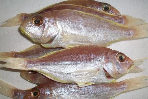 什么是冰鮮食品？如何區分冰鮮魚和冰凍魚？