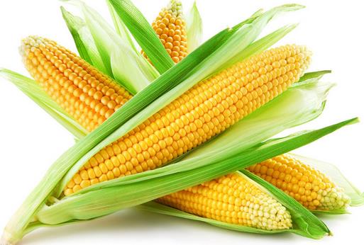 調節內分泌失調的7類食物推薦
