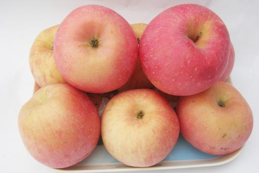 過敏吃什么好？7種春季抗過敏食物推薦