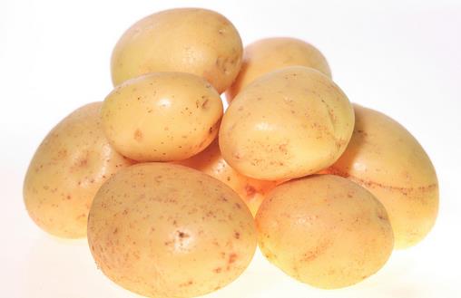 土豆能調(diào)整虛弱的體質(zhì) 能蒸著吃最理想