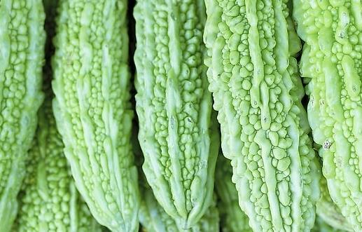 兒童吃苦味菜造血促食欲 苦味菜有哪些？