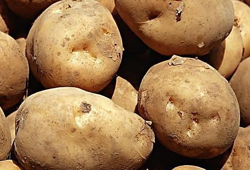 結(jié)石病人不能吃哪些食物？