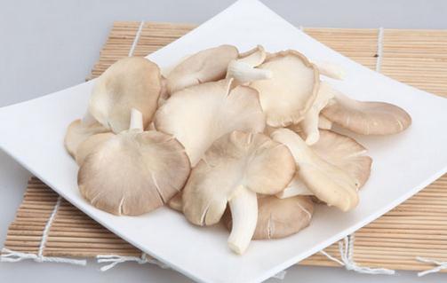 吃鳳尾菇好嗎？鳳尾菇怎么做好吃？