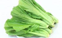 葉用芥菜是什么？葉用芥菜怎么做？