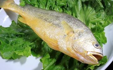 【黃魚】_黃魚的營養價值,功效與作用,黃魚怎么做好吃,黃魚的做法大全 【黃魚】_黃魚的營養價值,功效與作用,黃魚怎么做好吃,黃魚的做法大全