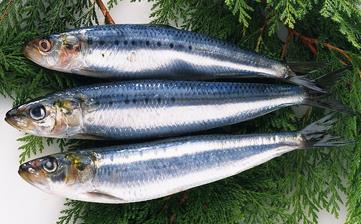 【青魚】_青魚的營養價值,青魚怎么做好吃,青魚的做法大全 【青魚】_青魚的營養價值,青魚怎么做好吃,青魚的做法大全