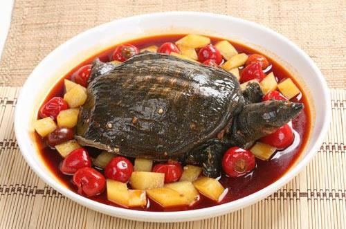 甲魚的營養價值 男人怎么吃最有營養